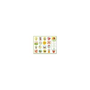  Djeco Grosses Gommettes Le Jardin DJ09087 